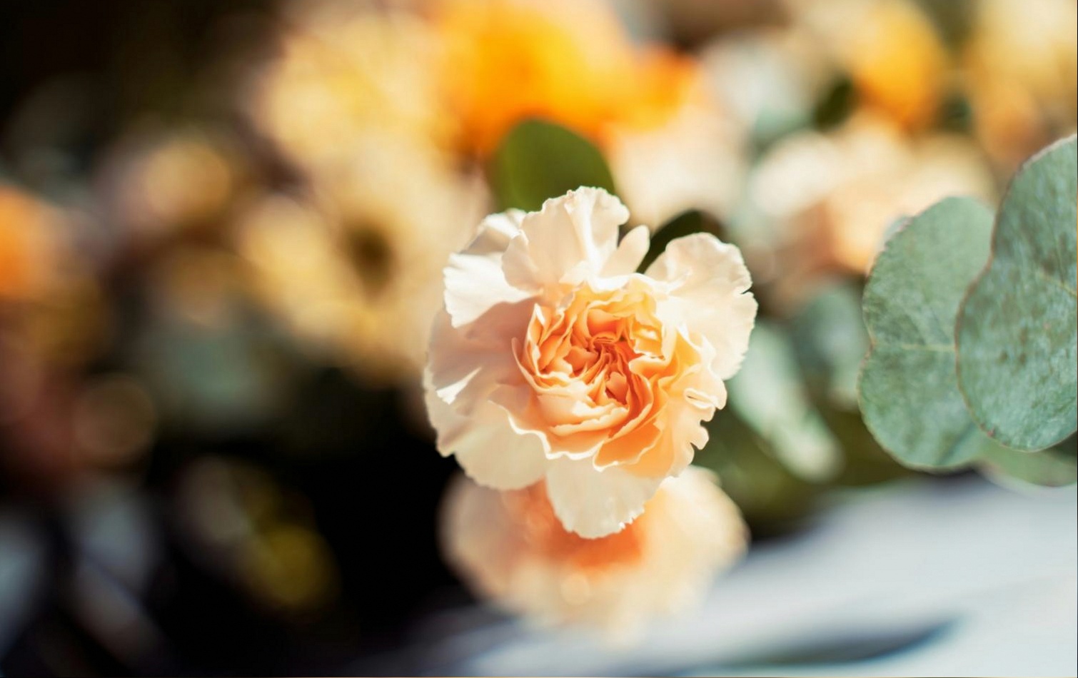 Decorated wedding venue with styled floral arrangements and table settings